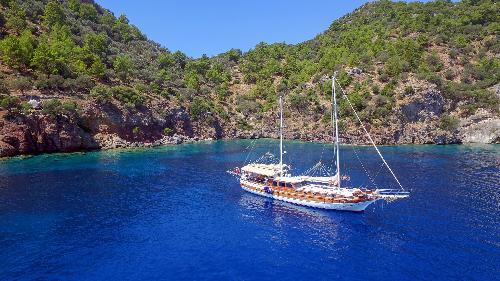 Elegantly Preserved: A Beauty in Maintenance